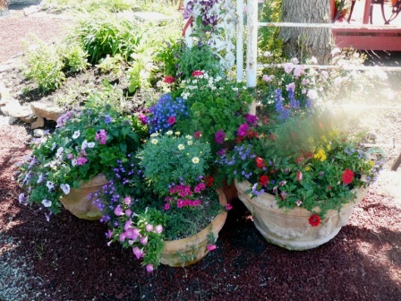 Container Gardening on Great Container Gardening